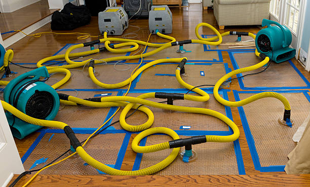 Professional Crawl Space Water Removal technician working in Hancock, MD